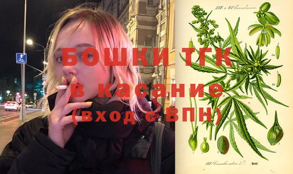 эйфоретик Тавда