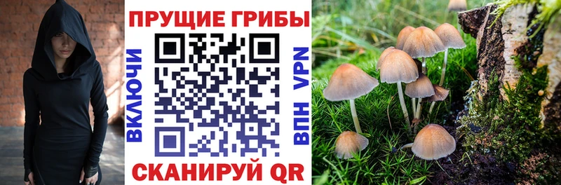 Галлюциногенные грибы MAGIC MUSHROOMS  Усмань 